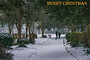 Winton Christmas 2