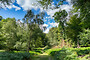 Bolderwood