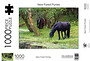New Forest Ponies