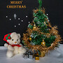 Oh Christmas Tree