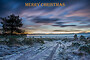 Holt Heath Christmas Multi